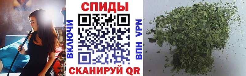 KRAKEN ССЫЛКА  Ачхой-Мартан  Бутират оксана  как найти  