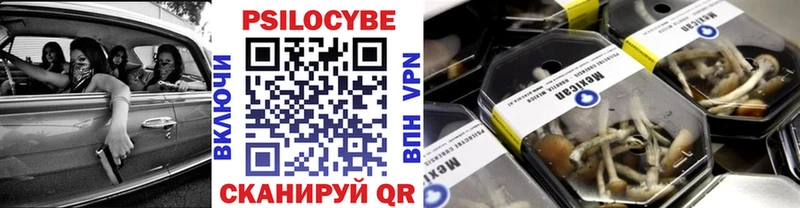 Галлюциногенные грибы Magic Shrooms  наркотики  площадка Telegram  Ачхой-Мартан 
