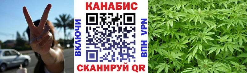 Канабис SATIVA & INDICA  как найти   Ачхой-Мартан 